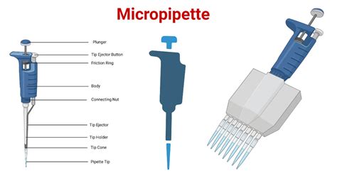 micropipette definition|what are micropipette units called.